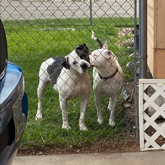 Meet your Posher, Brittney - Picture 3 of 16